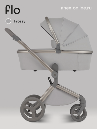 Изображение товара ANEX FLO коляска 2в1 Frossy (fl-06c)