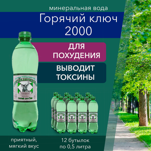 Изображение товара Вода Горячий Ключ скважина 934 питьевая минеральная газированная лечебная0.5л*12, выводит токсины, для похудения