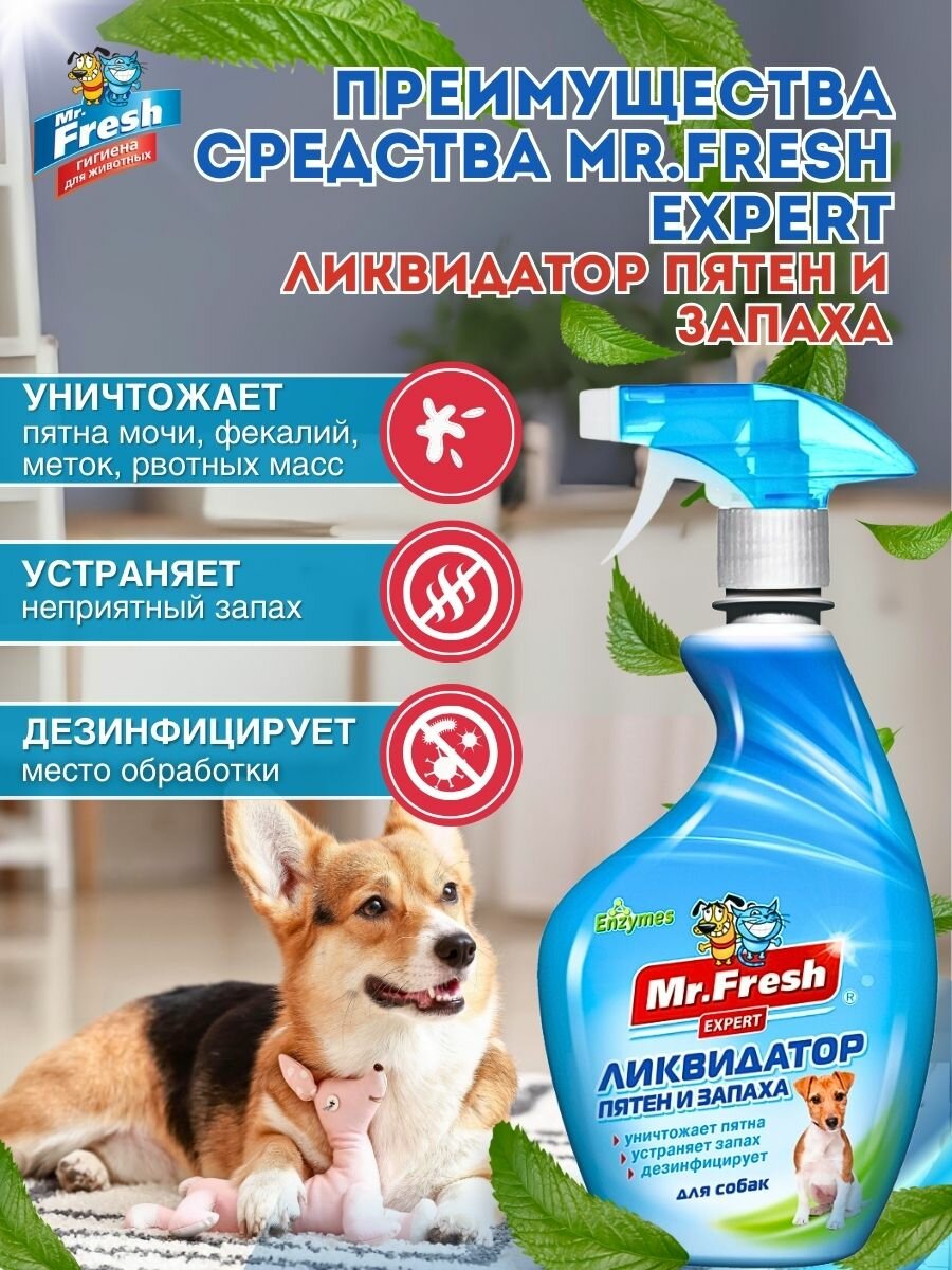 Ликвидатор запаха и пятен для собак Mr.Fresh 500 мл — фото 1