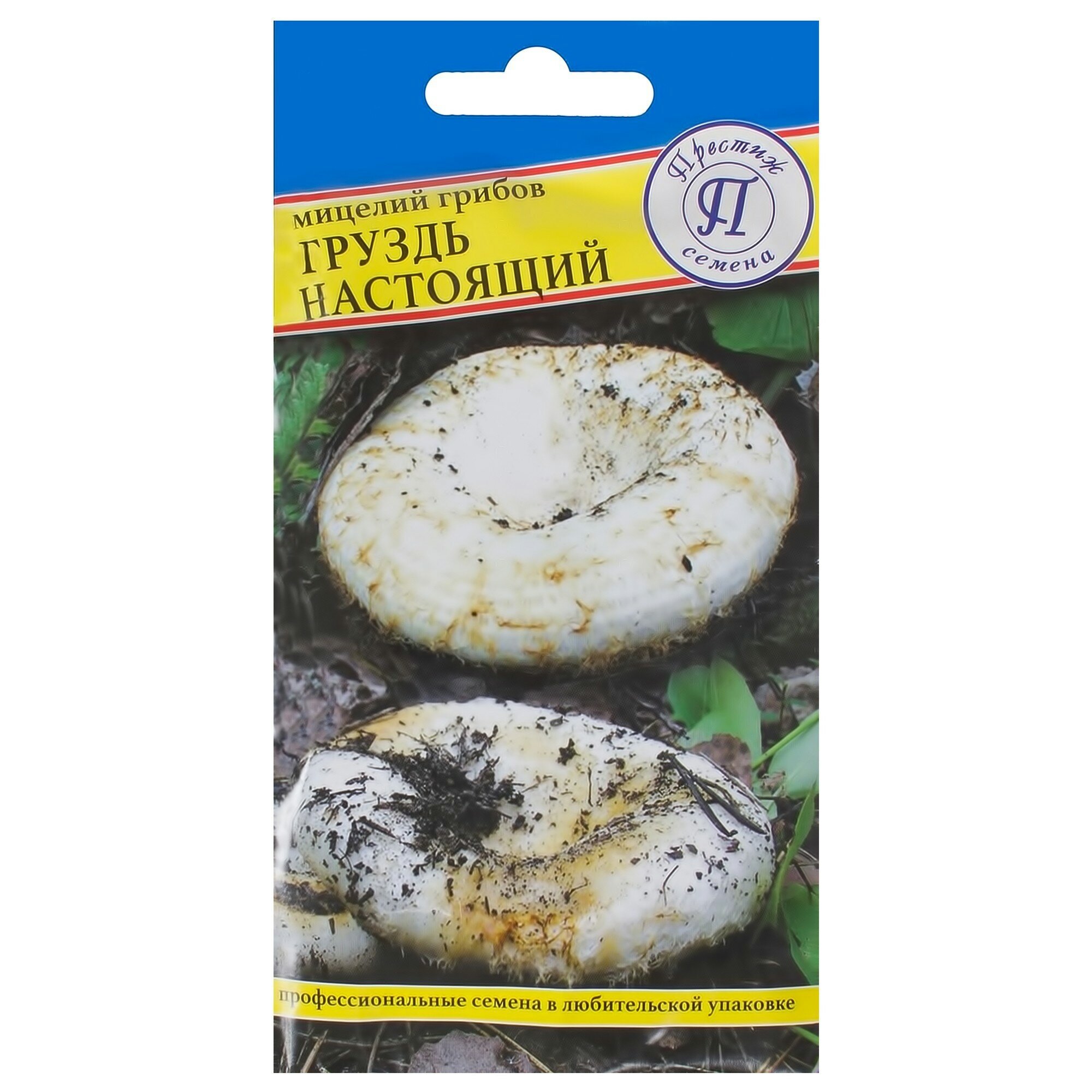 Семена Гриб груздь «Настоящий»