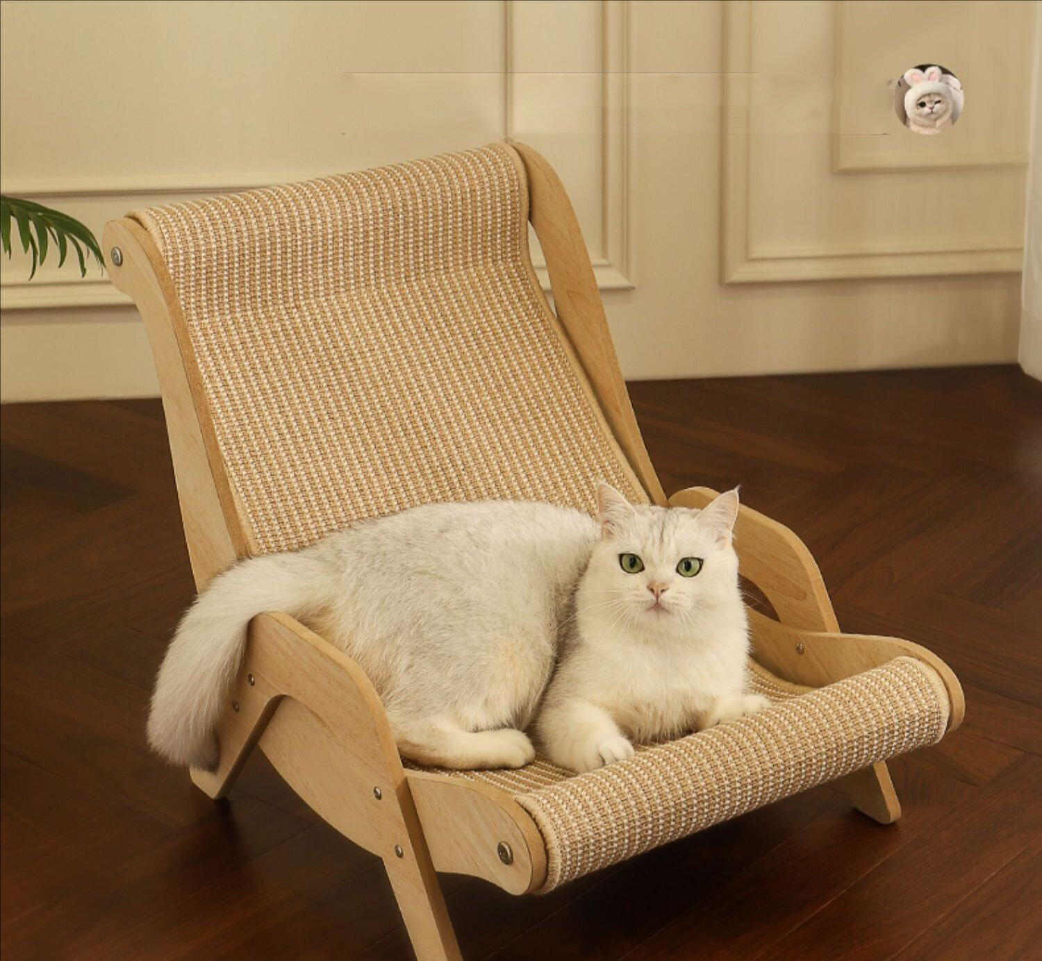 Когтеточка для кошек из сизаля наполнитель для кошачьего туалета одно глубокое кресло гамак диван(Местная поставка)