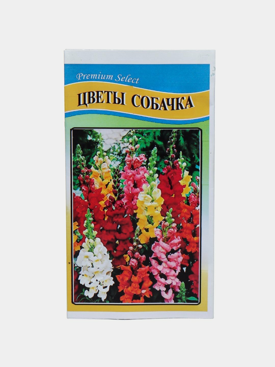 Семена цветов: Ромашка, Петуния, Василек, Георгина, Астра, Майерка, Вервена, Чирмашар, Цветы Собачка, Сальвия сверкающая