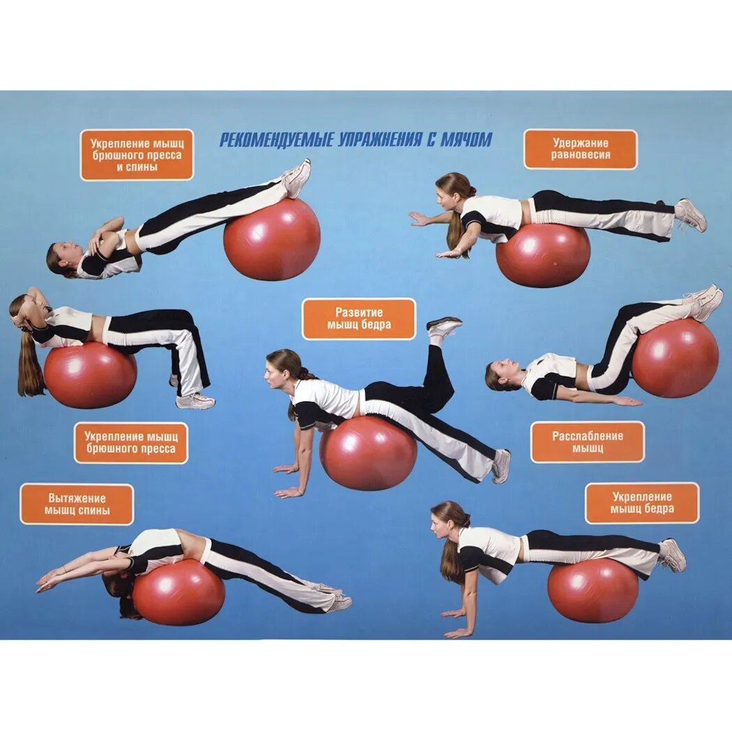 Фитбол Sportage 75 см с насосом, ПВХ, для фитнеса и аэробики, цвет фуксия