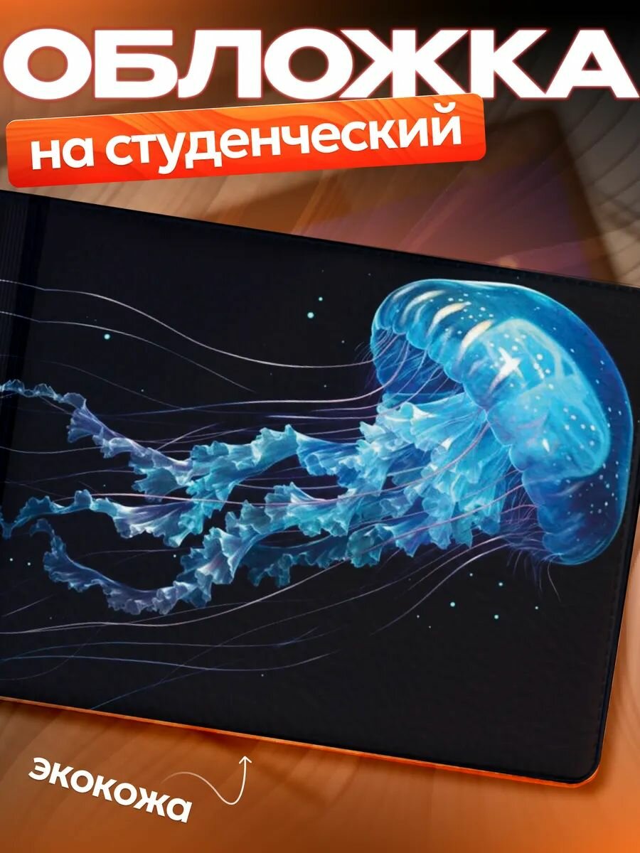 Обложка для студенческого билета
