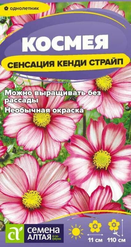 Семена Космея Сенсация Кенди Страйп Семена Алтая 05 гр