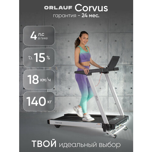 Беговая дорожка Orlauf Corvus