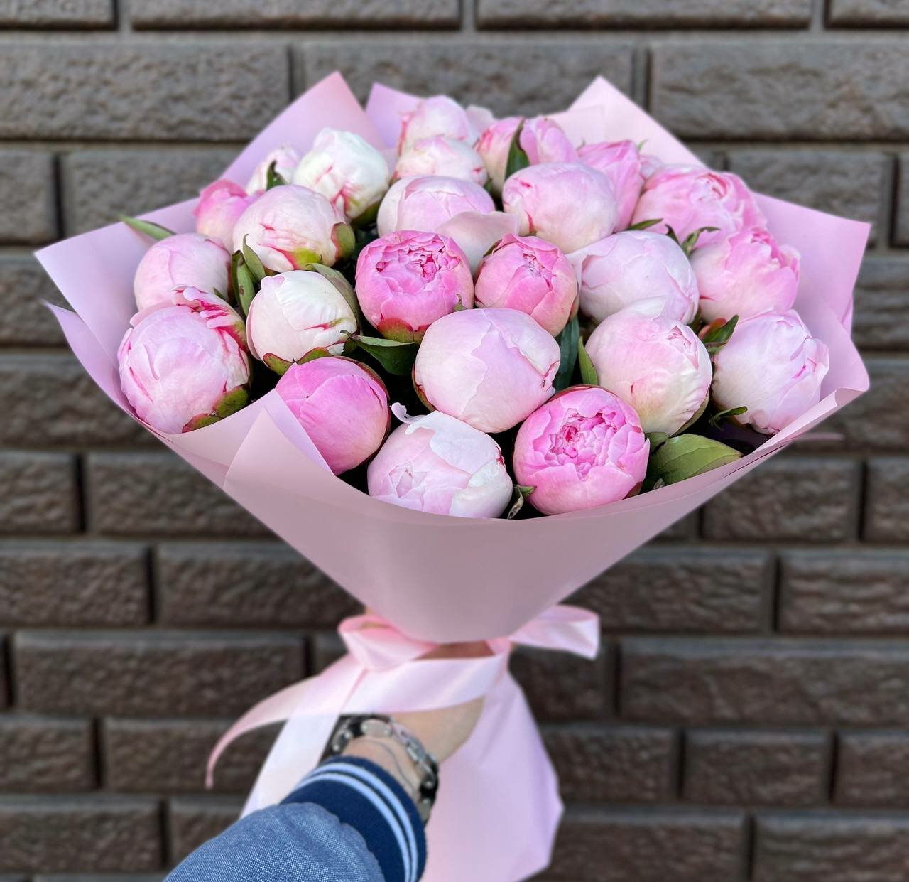 Розовые Пионы сорта Sarah 25 шт