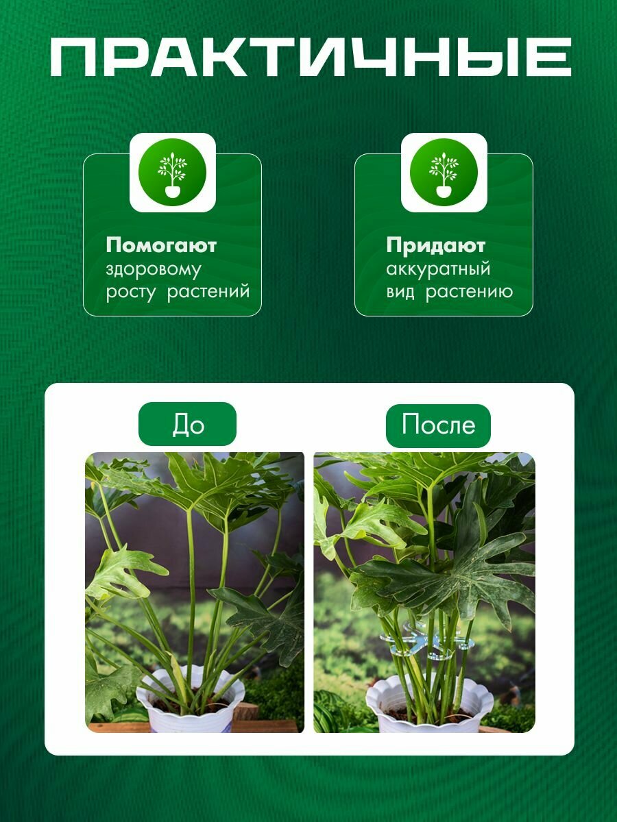 Опора для сбора стеблей растений 4 штуки прозрачная — фото 1
