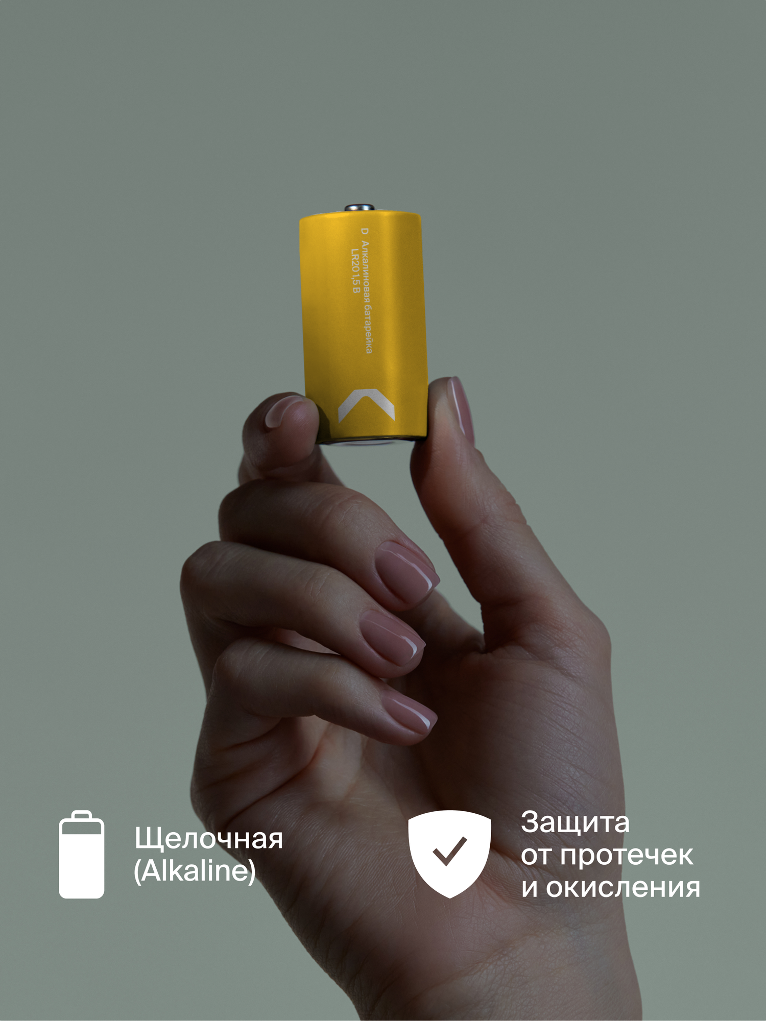 Батарейки алкалиновые COMMO Everyday Batteries, LR20-D, 2 штуки в упаковке — фото 1