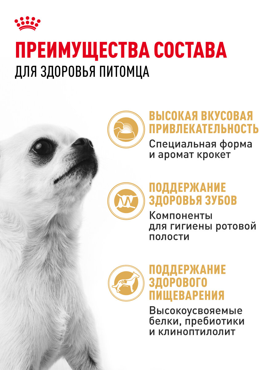 Сухой корм для собак Royal Canin Adult для породы чихуахуа, 0,5 кг — фото 1