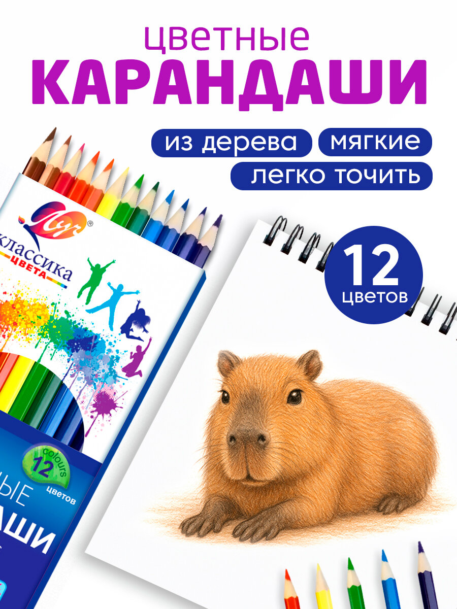 Карандаши цветные простые для рисования в школу набор 12 цветов / штук, "Классика" от Луч шестигранные