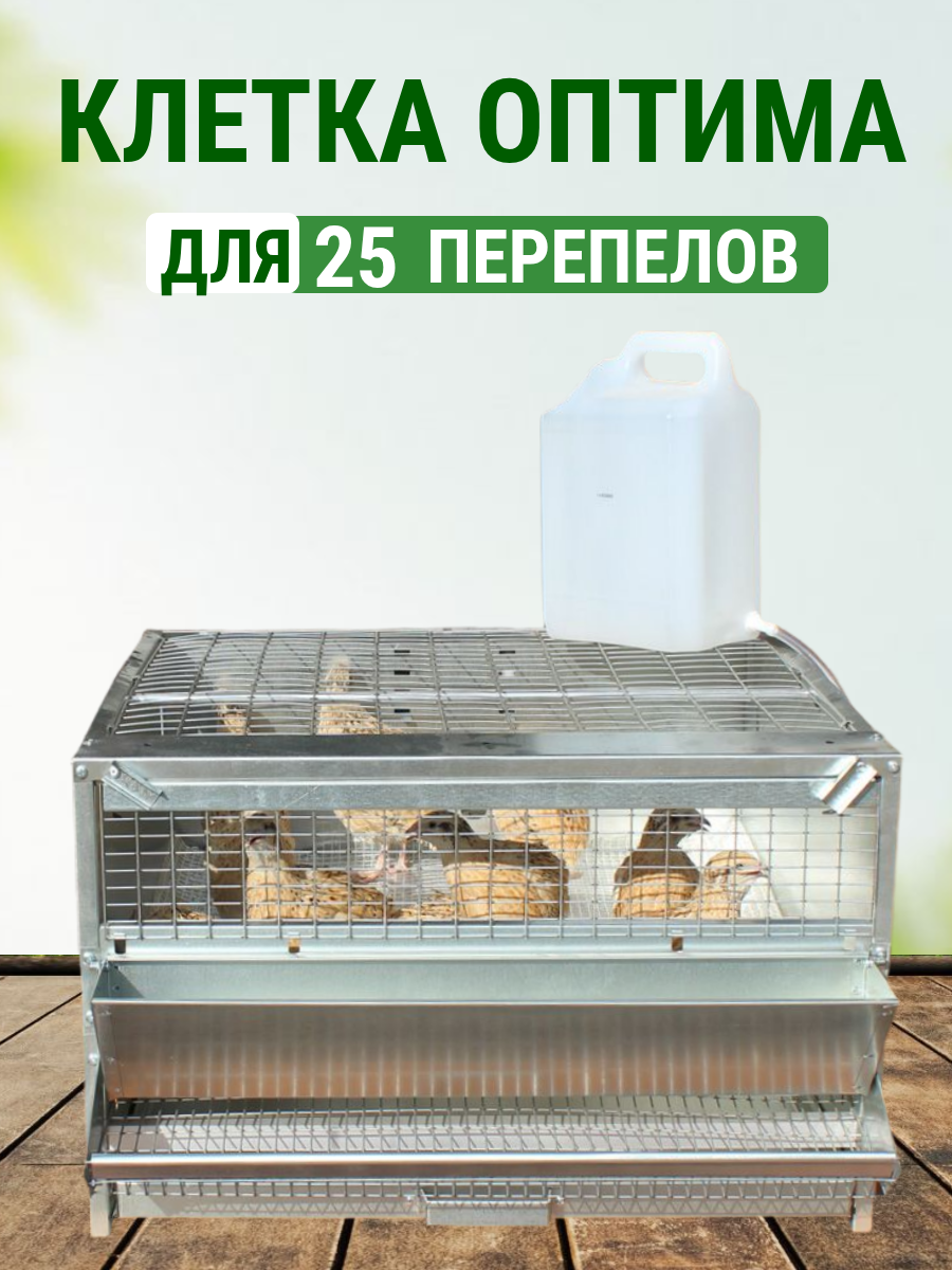 Клетка для перепелов на 25 голов Оптима Подворье в полной комплектации