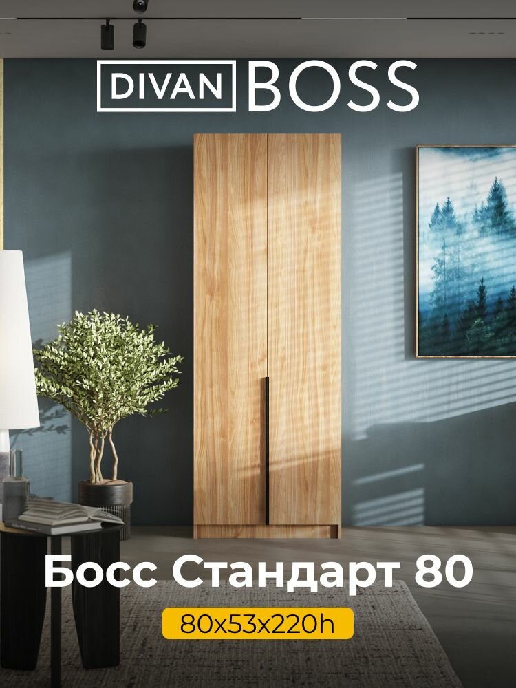 Шкаф распашной, BOSS STANDART, 80х53х220 см, 2х дверный с ящиками, орех