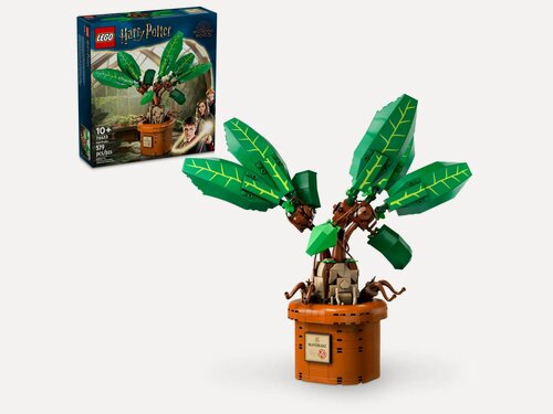 Изображение товара Конструктор уценка LEGO Harry Potter Мандрагора 76433, 579 элементов