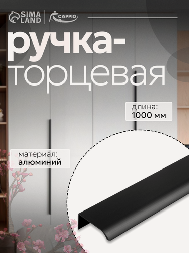 Изображение товара Ручка профильная мебельная торцевая CAPPIO RT002BL, длина 1000 мм, м/о 960 мм, цвет чёрный