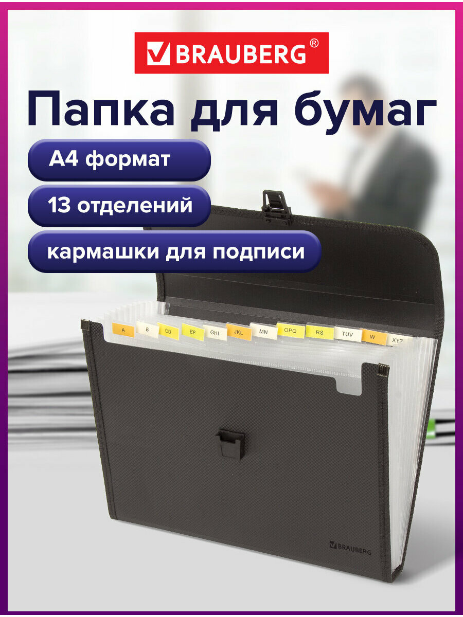 Папка для рисунков, чертежей, листов, бумаг с замком Brauberg "Hit" формата А4, 13 отделений, черная, 229572