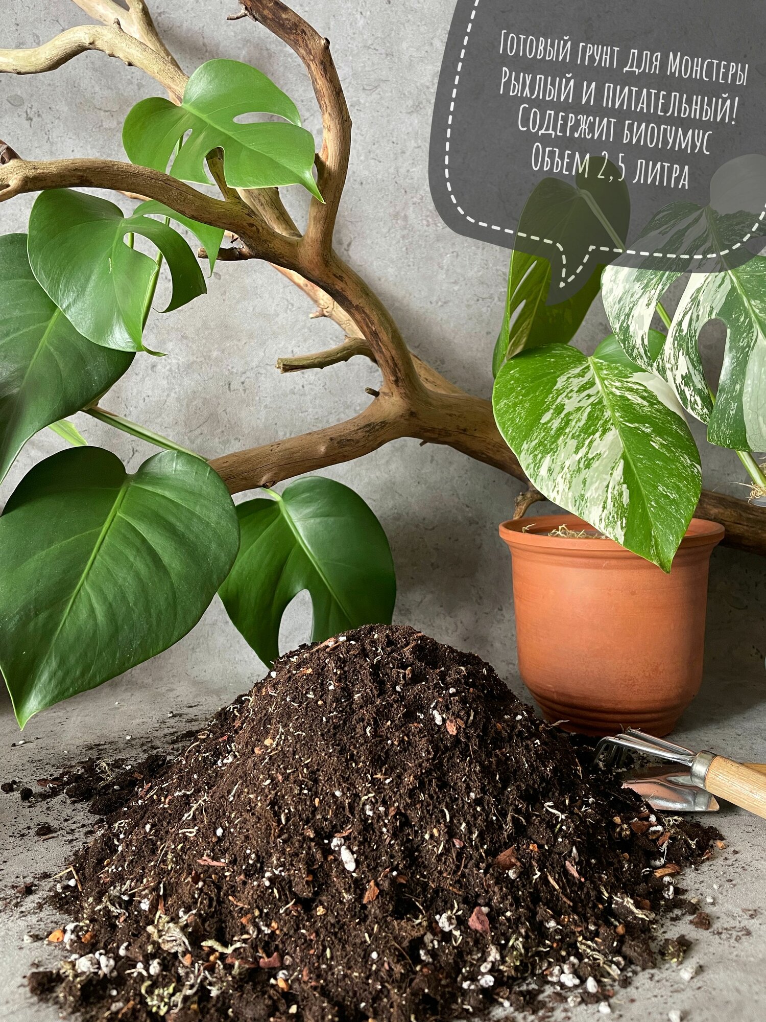 Премиум грунт для Монстеры и ароидных 2,5л с биогумусом Terracotta Plants