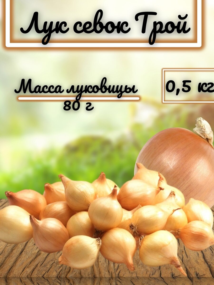 Лук-севок Трой 0.5 кг озимый фасованный устойчив к холоду лежкий