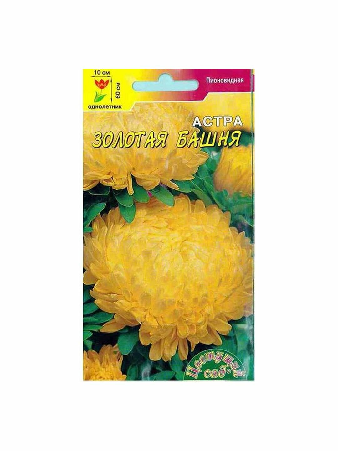 Семена Астра Башня Золотая однолетник Цветущий Сад 1 пачка - 0.2г семян