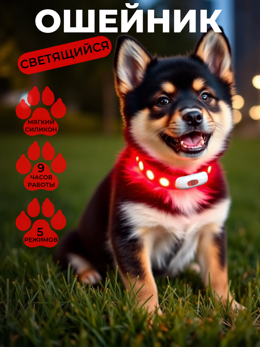 Ошейник BOOMBOOM Shop, светодиодный, USB-зарядка, размер S красный, регулирующийся, водостойкий