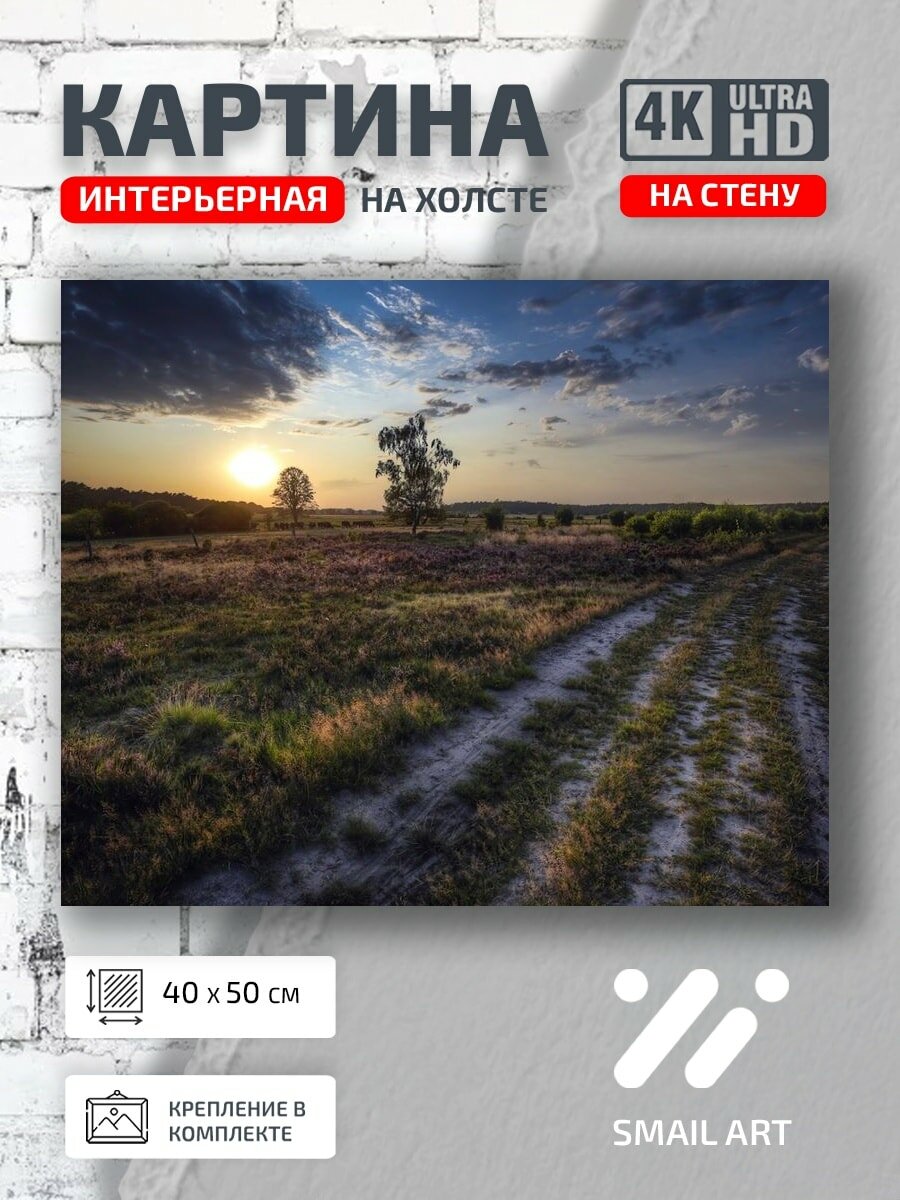 Картина на холсте интерьерная 40 на 50 на стену Пейзаж поле для офиса атмосфера