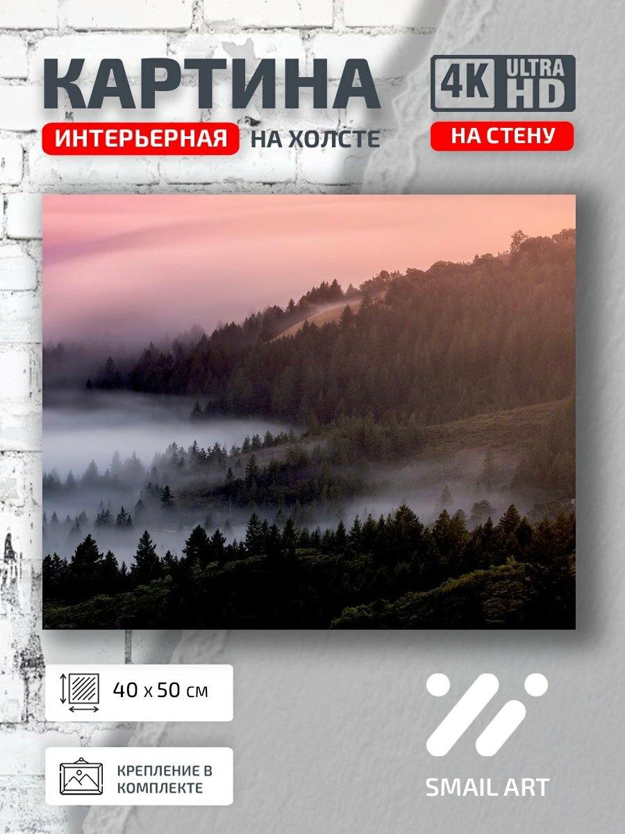 Картина на холсте интерьерная 40 на 50 на стену Лесной туман для спальни пейзаж