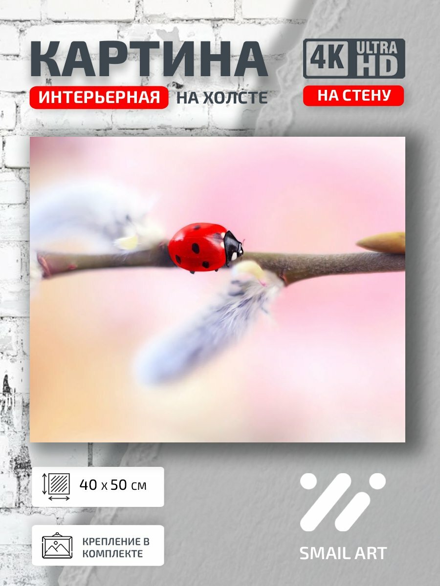 Картина на холсте интерьерная 40 на 50 на стену Ветка Mood для офиса атмосфера интерьер