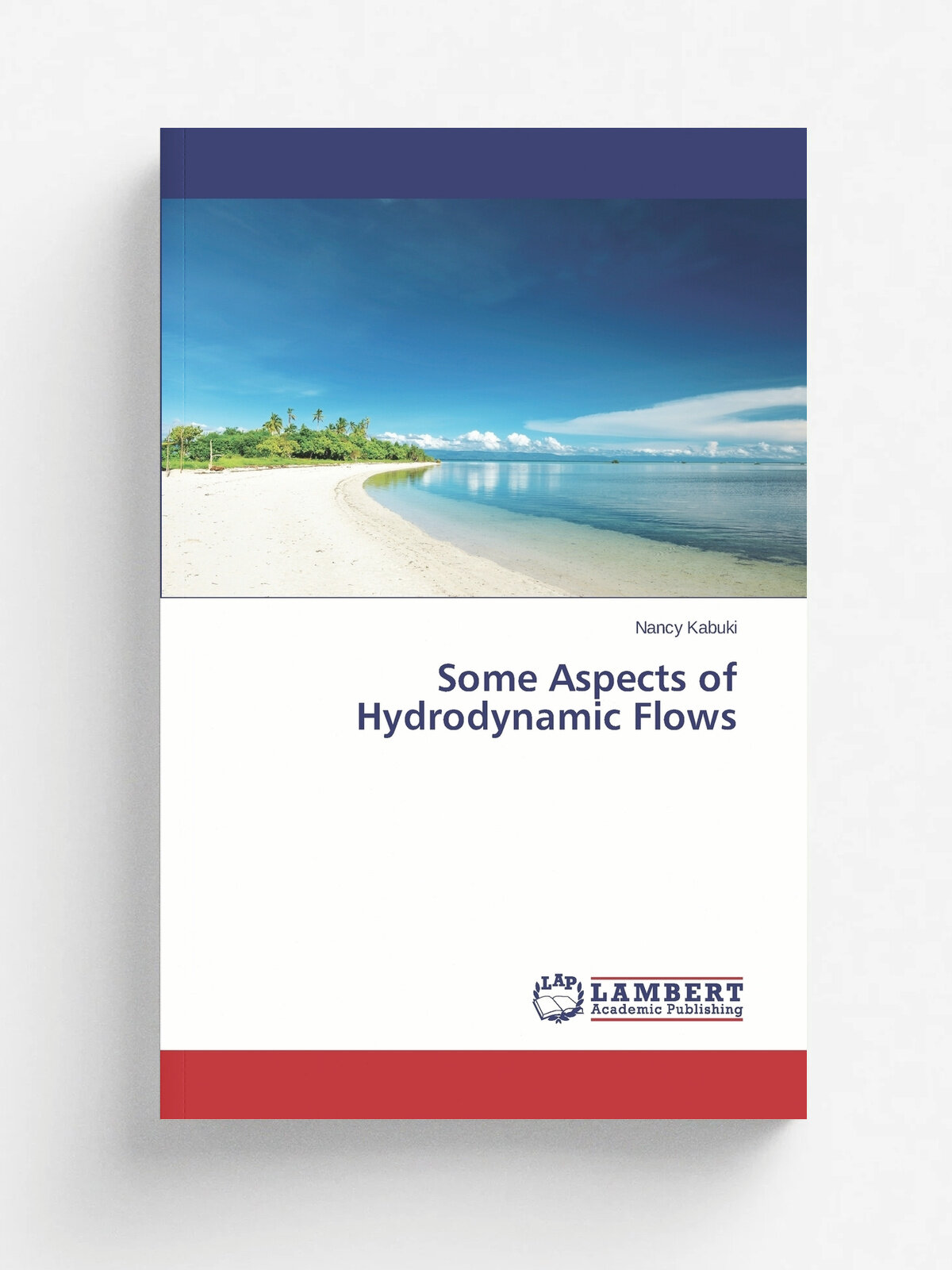 Some Aspects of Hydrodynamic Flows