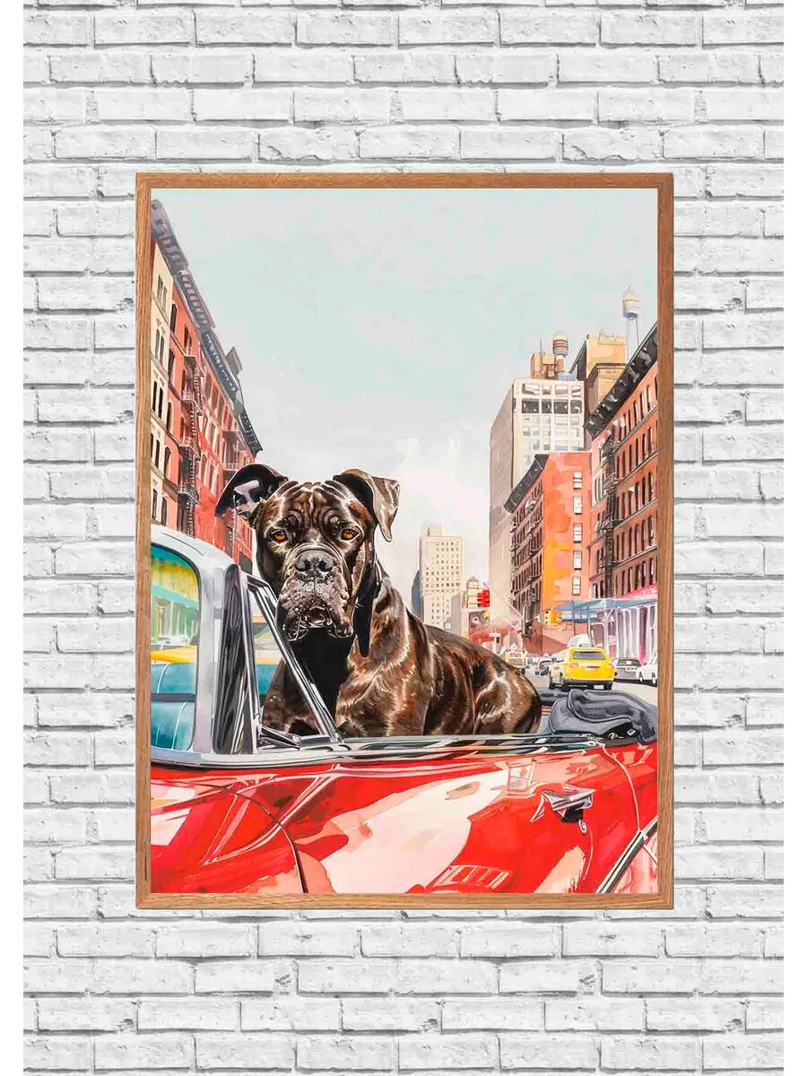 Собака Кане Корсо Миллиардер 2, Плакат 30x42см