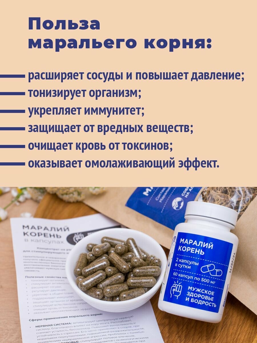 Картинки Маралий корень (левзея) 60 капсул, витаминный комплекс для мужского здоровья, Алтайвита
