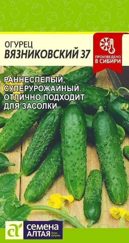 Огурец Вязниковский 37/Сем Алт/ 05 гр.