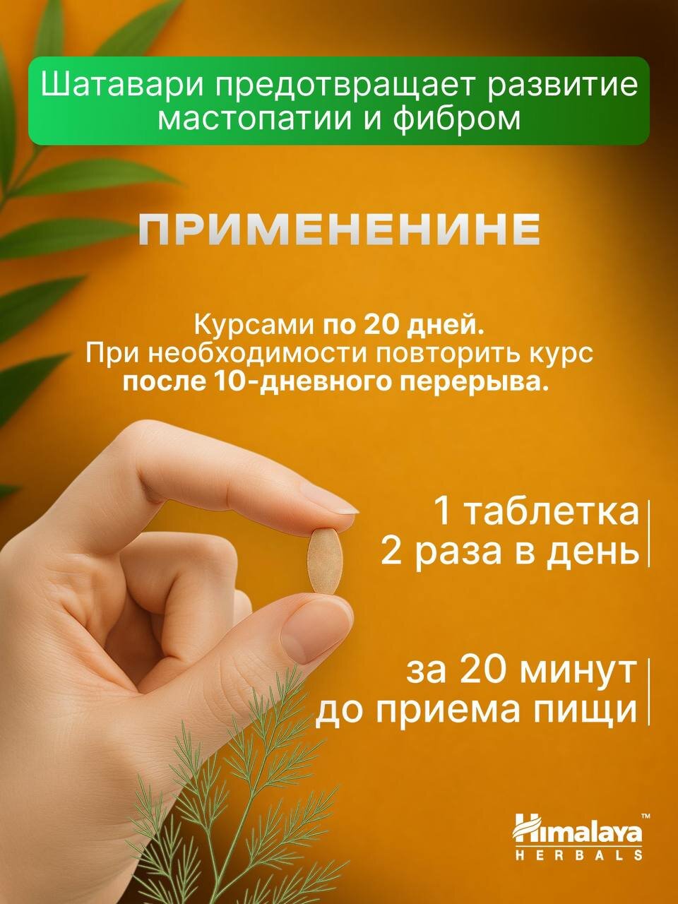 Картинки Шатавари Himalaya, для женщин, пищевой продукт, таблетки, 60 шт.