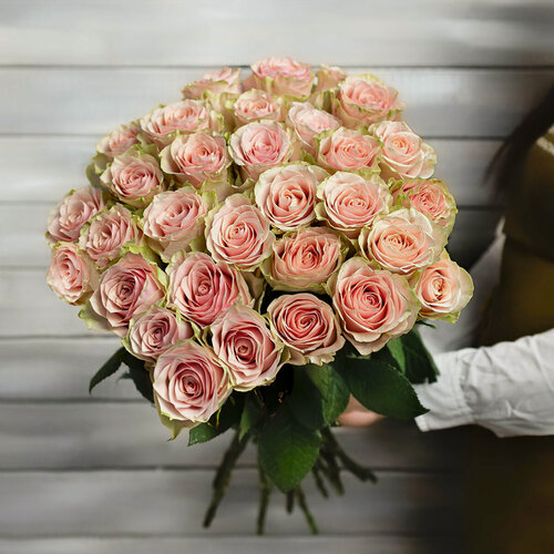 Изображение товара 31 нежно-розовая роза Эквадор 60 см монобукет от Букет Маркет