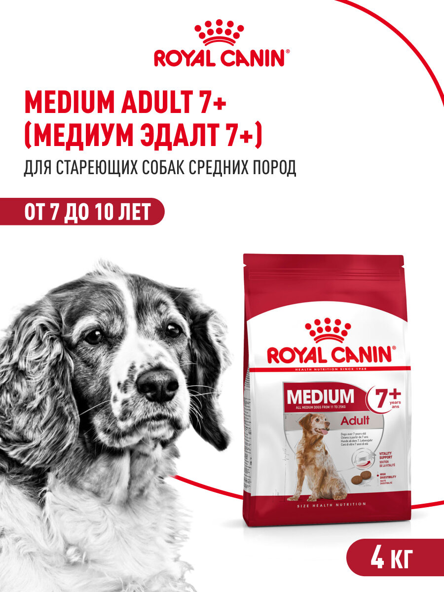 Картинки Сухой корм для собак Royal Canin Medium Adult 7+ для средних пород, 4 кг