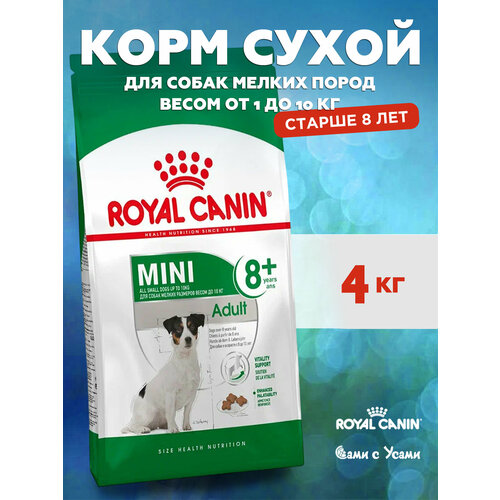 Сухой корм Royal Canin Mini Adult 8+ для взрослых собак мелких пород от 8 лет, 4 кг