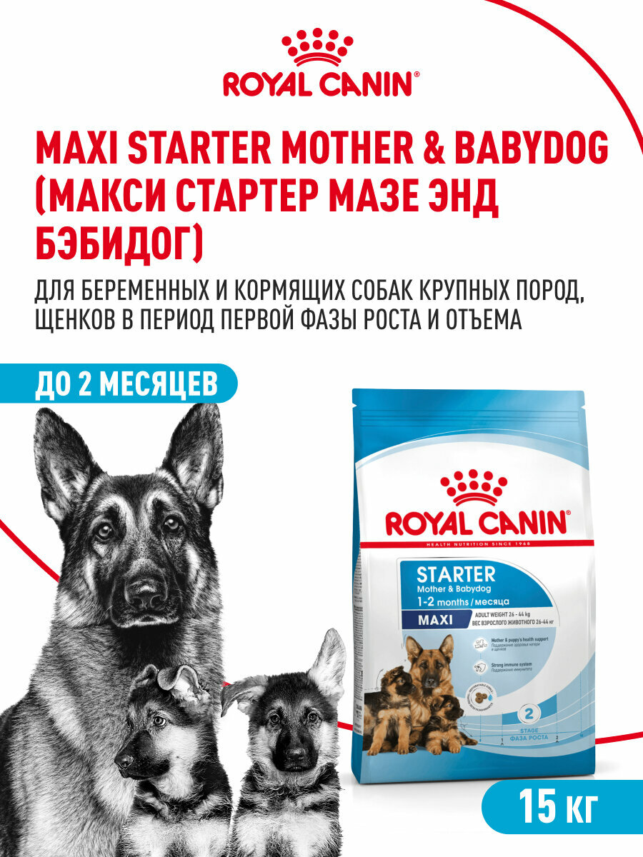 Сухой корм для щенков, беременных и кормящих собак Royal Canin Maxi Starter Mother&Babydog для крупных пород, 15 кг — фото 1
