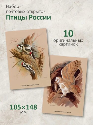 Изображение товара Почтовые открытки "Птицы России" для посткроссинга, набор 10 шт.