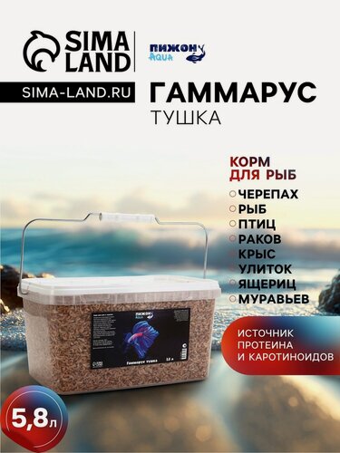 Изображение товара Корм для рыб Пижон Aqua, для всех видов, витамины, легко усваивается, 5.8 л