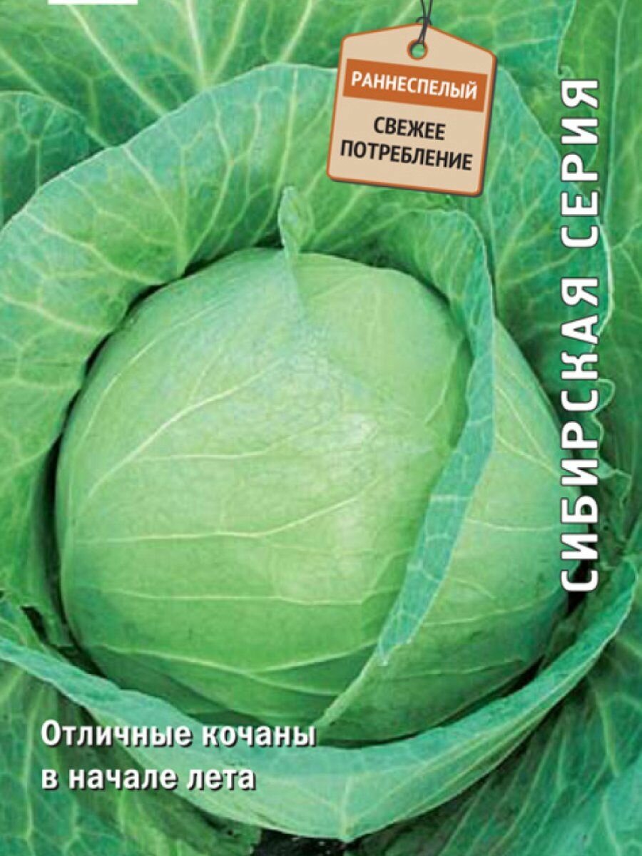 Капуста Точка белокочанная 05г Поиск