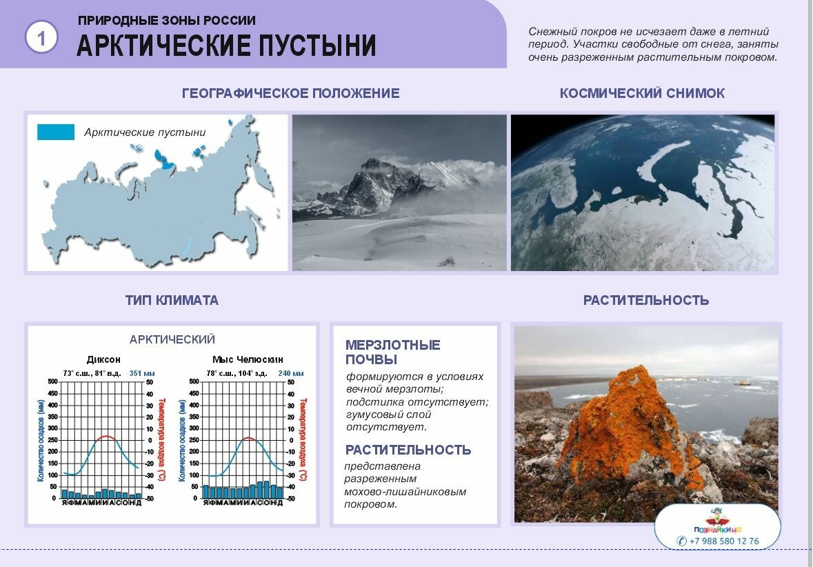 Комплект таблиц по географии раздат. "Природные зоны России"