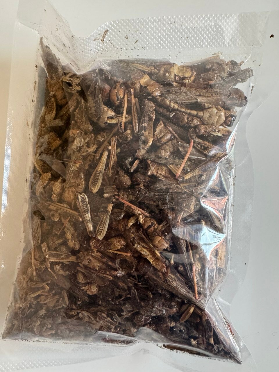 Exotic Menu кузнечик (сушеный) для ежей рептилий грызунов поссумов птиц 70 гр пакет