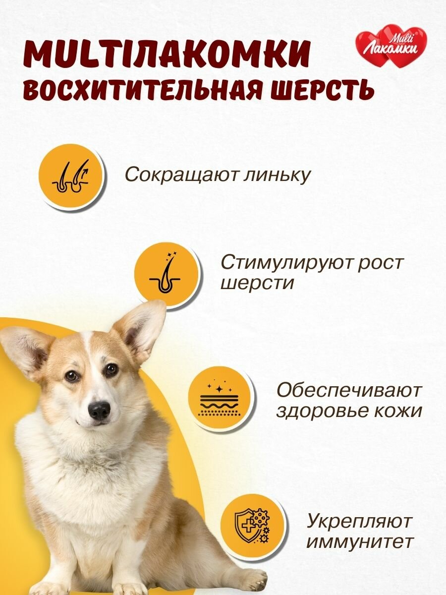 Витамины для собак MultiЛакомки лакомство Восхитительная шерсть 100 таблеток — фото 1