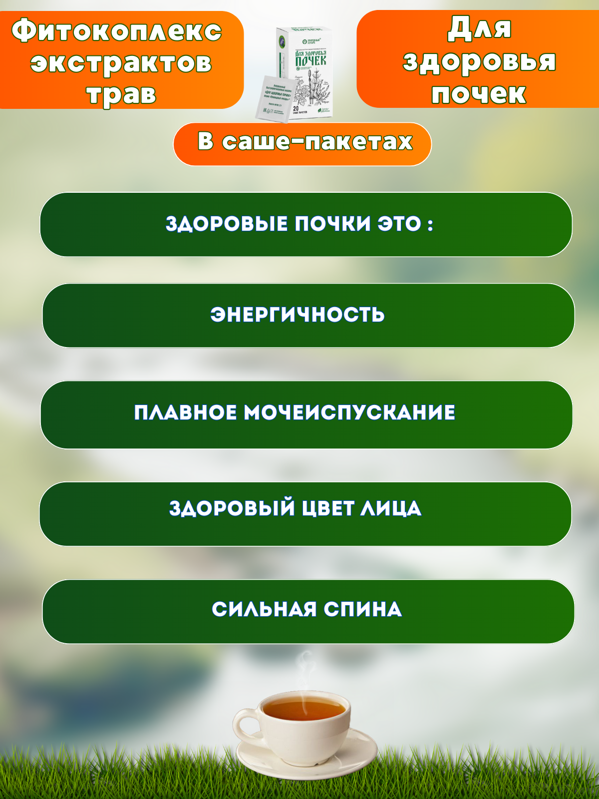 Картинки Фитокомплекс экстрактов трав Для здоровья почек мочегонный, при отёках