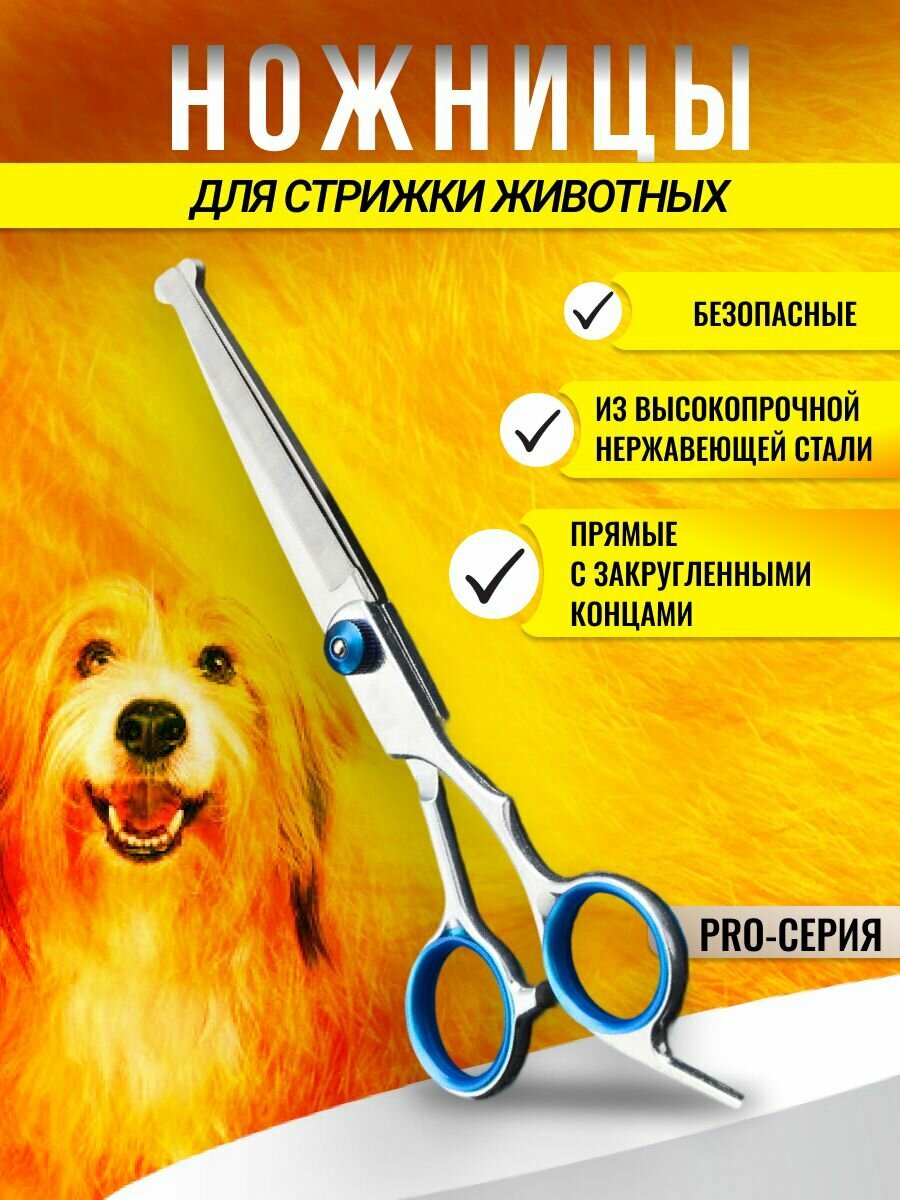 Ножницы для стрижки и груминга животных прямые с закругленными концами ，2 части в комбинации легко заменяемые