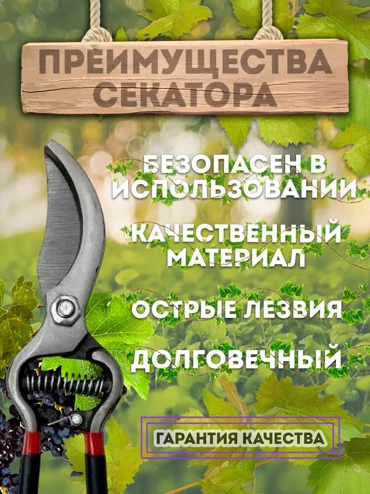 Секатор Техпром S 5043/1, сталь, нескользящие рукоятки, 20 см — фото 1