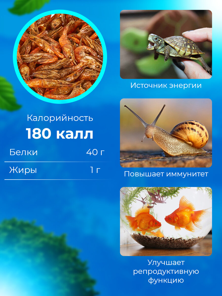Лакомства BIG tiny, для красноухой черепахи, креветки, сухой корм, 1000 мл — фото 1