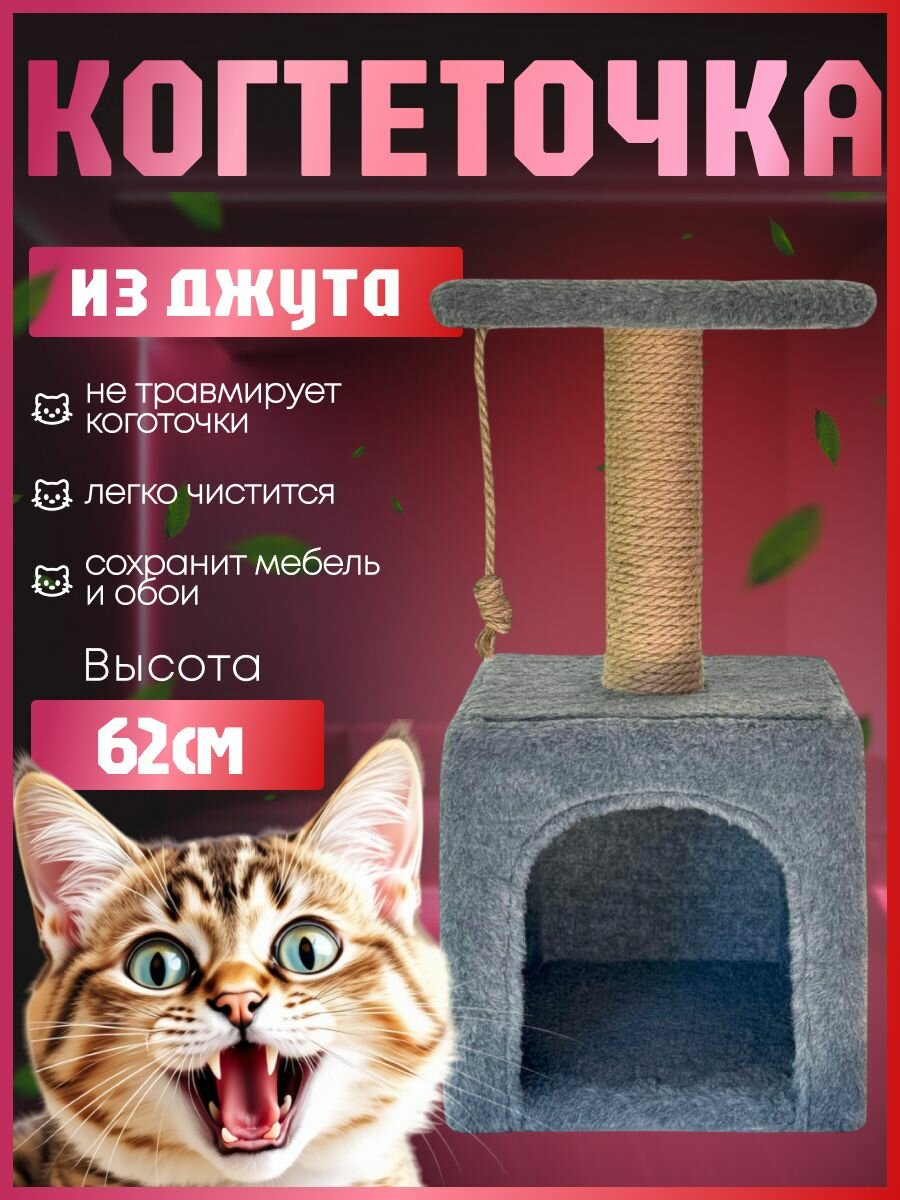 Когтеточка серая с домиком