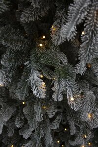 Основная фотография от вендора