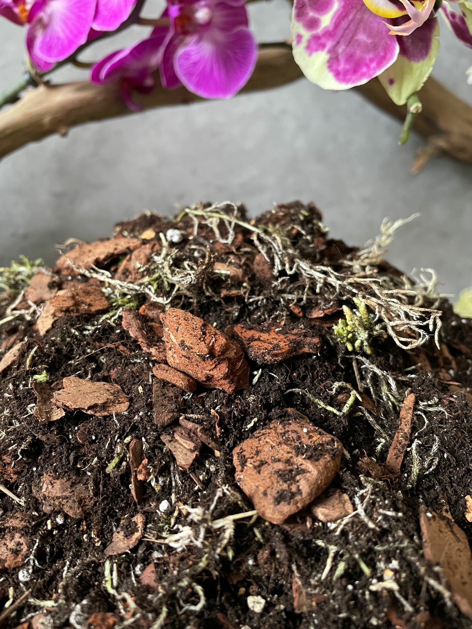 Готовый грунт для Орхидей Terracotta Plants с Биогумус 4 литра — фото 1