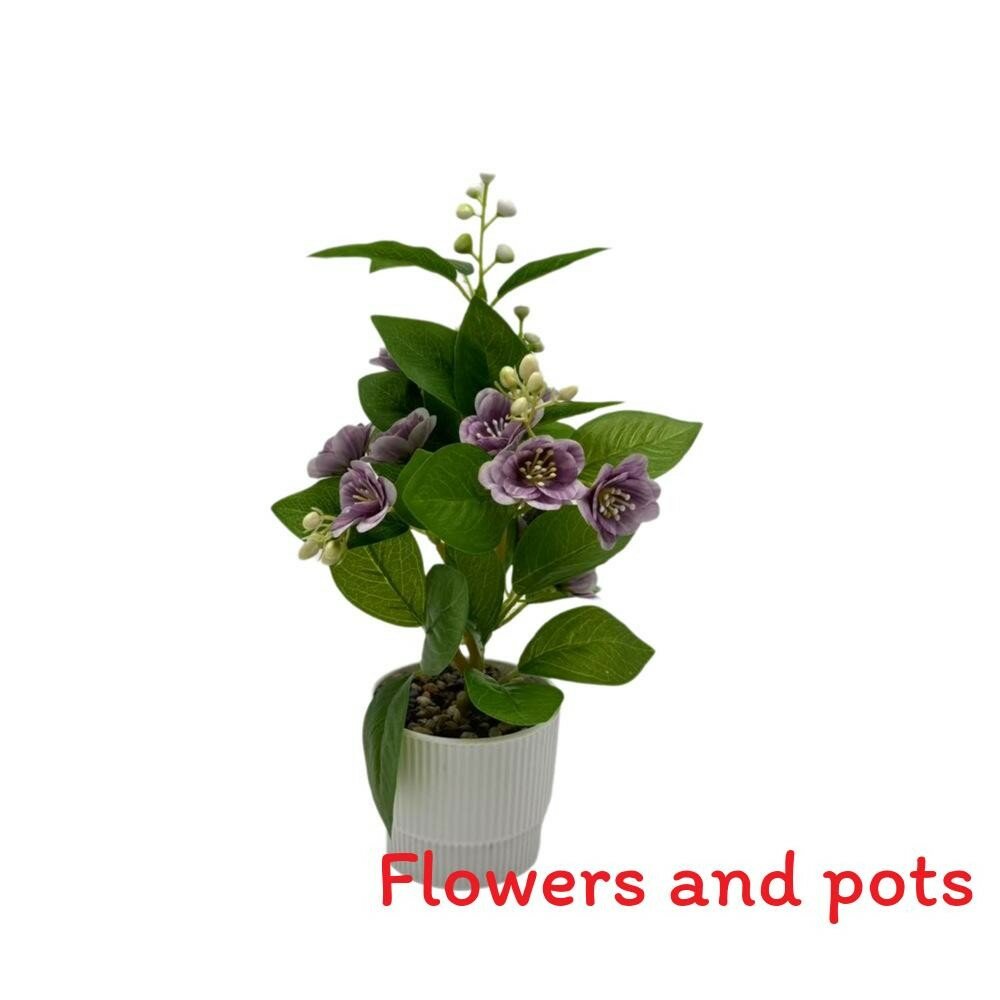 Jasmine flower miniature plant for wedding decor photography props and indoor use purple